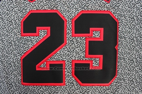 Maglia Moda Statico Chicago Bulls Michael Jordan #23 Grigio